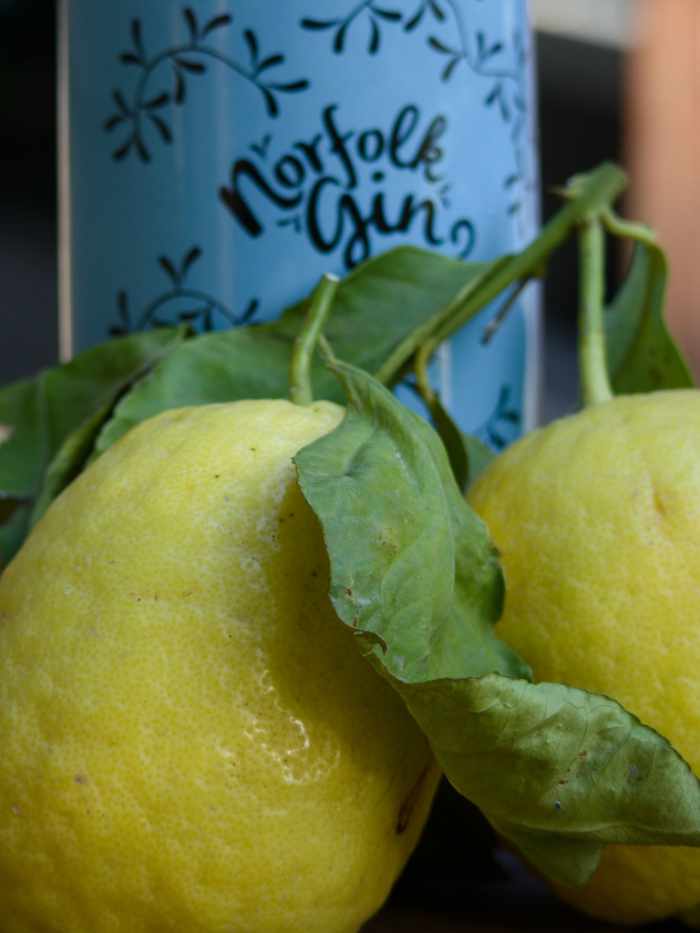 Norfolk Gin Sky Blue Special 70cl